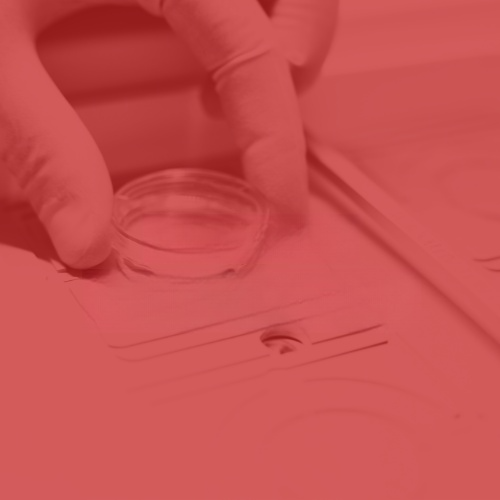 Inkubator Technologiczny